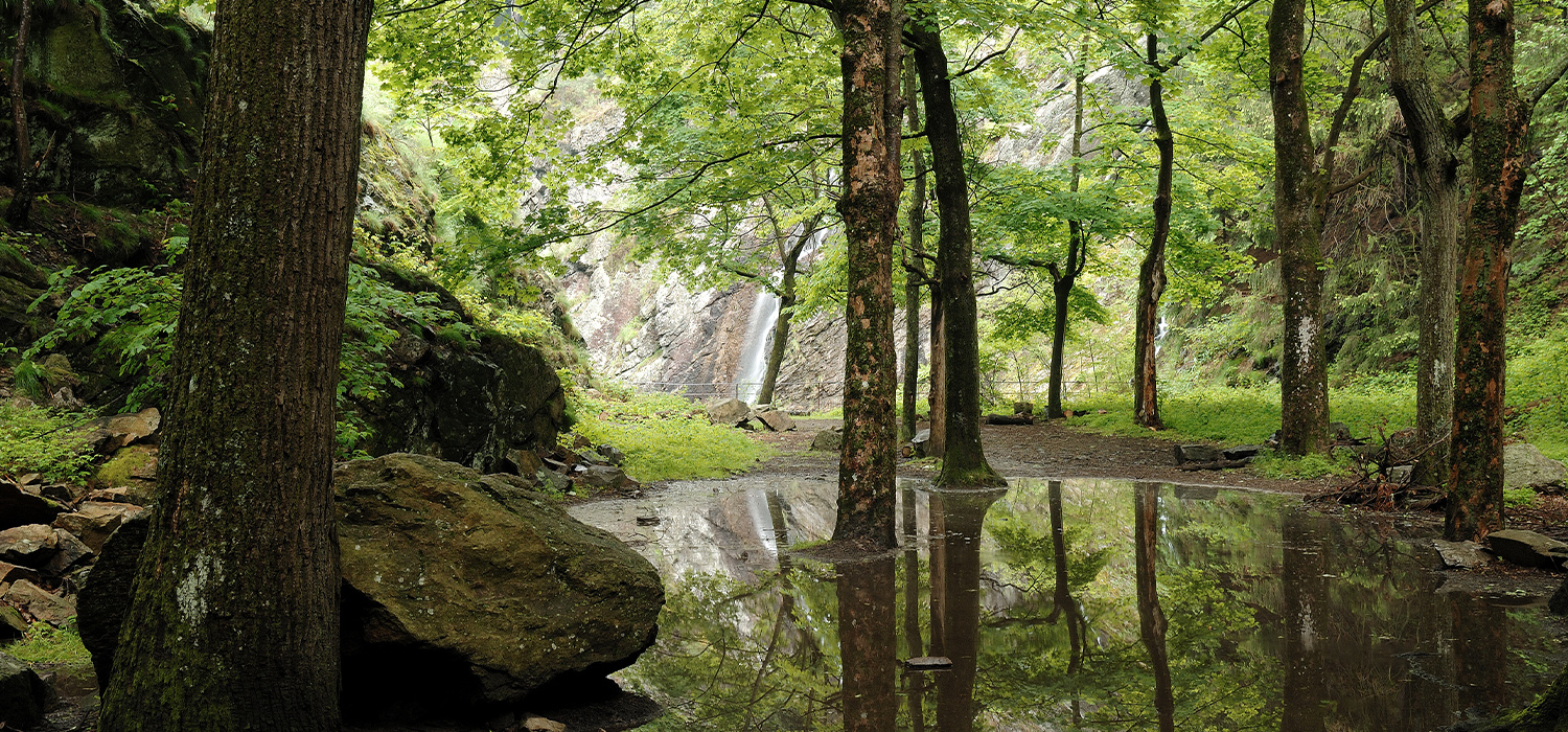 de Rû de Rû